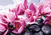 Fotobehang Flowers Orchids Stones Zen | XXL - 312cm x 219cm | 130g/m2 Vlies