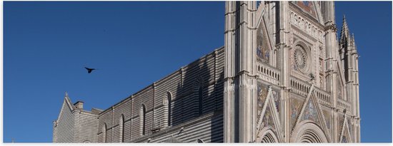 Poster (Mat) - Zijaanzicht van Vogel boven Kathedraal van Orvieto onder Blauwe Lucht in Italië - 60x20 cm Foto op Posterpapier met een Matte look