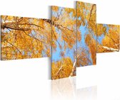 Schilderij - Herfst vanaf de Grond, 4luik , oranje blauw , premium print op canvas