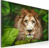 Schilderij - Leeuw in de jungle, Groen/Bruin