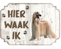 Waakbord | Hier Waak Ik: Afghaanse Windhond