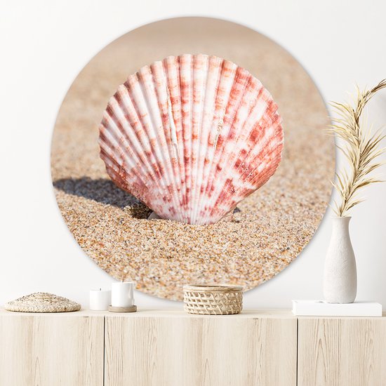 Wandcirkel Seashell