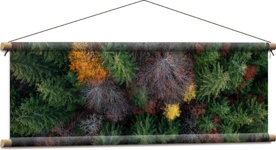 Textielposter - Bovenaanzicht van Coniferen Bomen in Verschillende Kleuren - 90x30 cm Foto op Textiel
