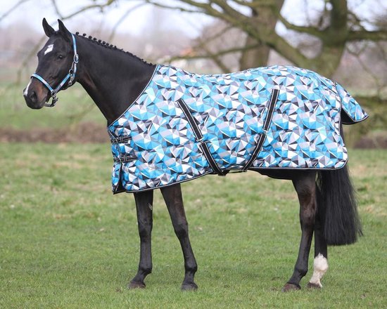 Embryo hebzuchtig toxiciteit Staldeken Nylon 300 gram Ice blue paardendeken - maat 195 | bol.com