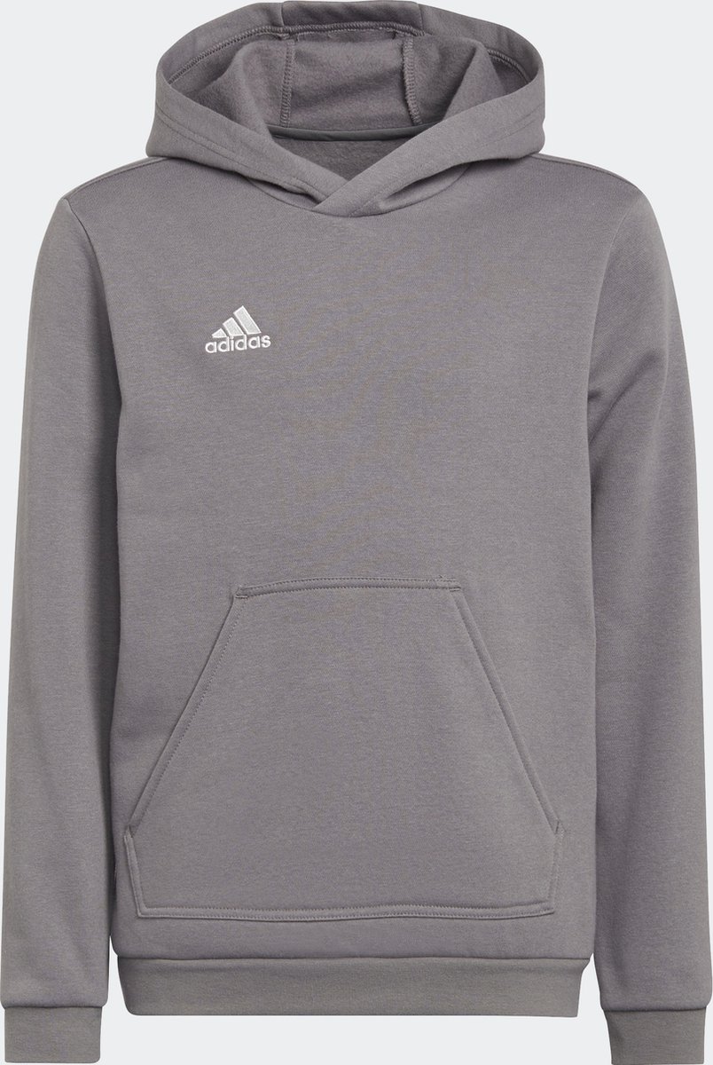 adidas Performance Entrada 22 Sweat Hoodie - Kinderen - Grijs- 128