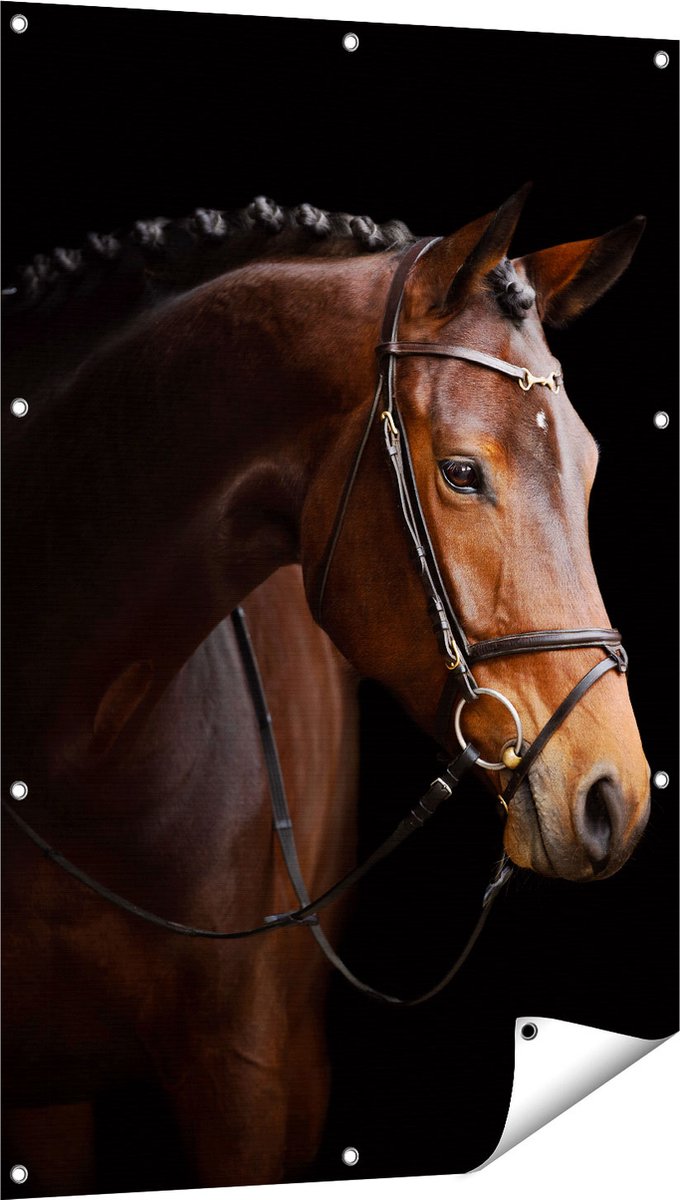 Gards Tuinposter Bruin Paard op een Zwart Achtergrond - 80x120 cm - Tuindoek - Tuindecoratie - Wanddecoratie buiten - Tuinschilderij Multikleur