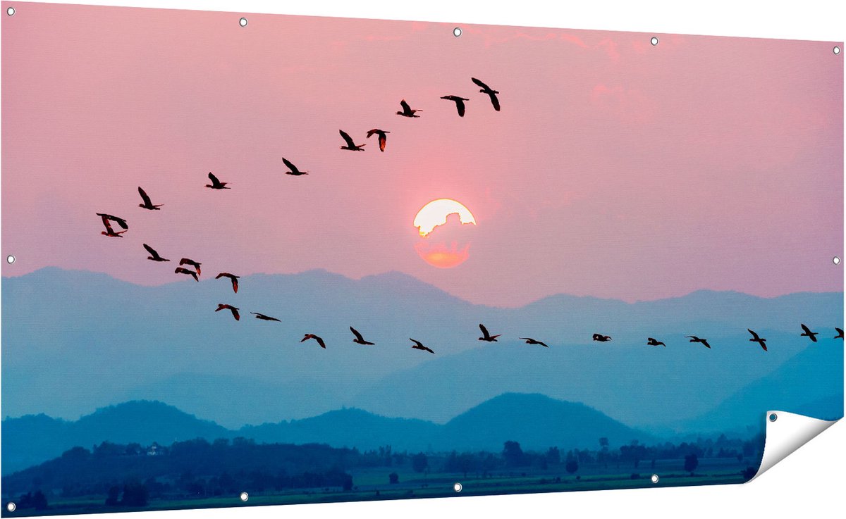 Gards Tuinposter Silhouet van Zwerm Vogels bij Zonsondergang - 200x100 cm - Tuindoek - Tuindecoratie - Wanddecoratie buiten - Tuinschilderij Multikleur