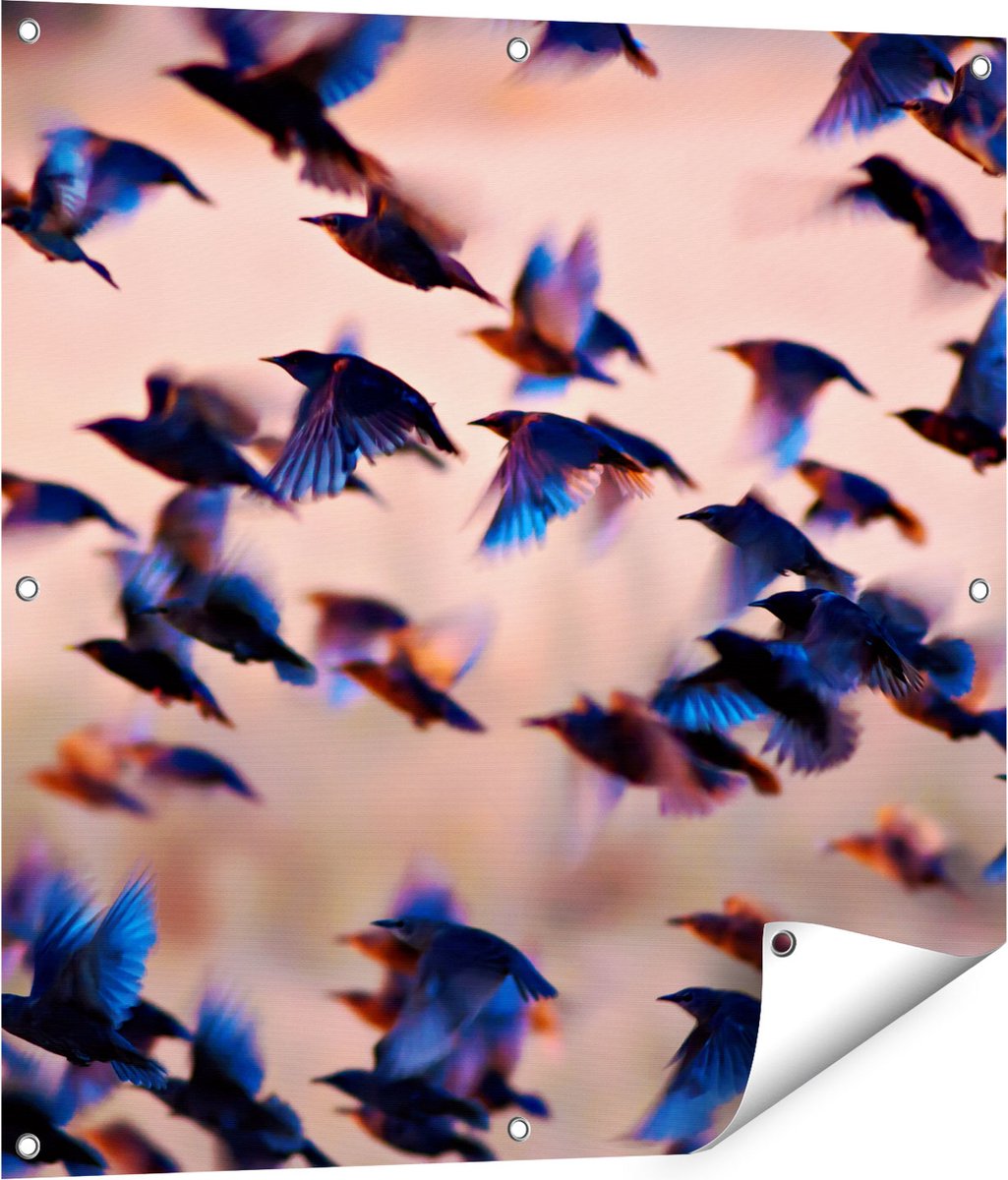 Gards Tuinposter Groep Vliegende Blauwe Spreeuw Vogels - 80x80 cm - Tuindoek - Tuindecoratie - Wanddecoratie buiten - Tuinschilderij Multikleur