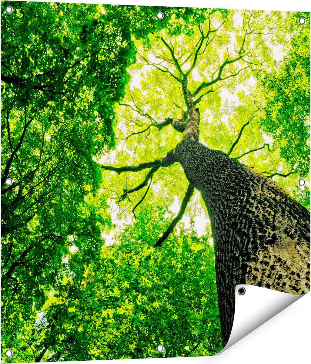 Gards Tuinposter Boom in het Bos met Fel Groene Bladeren - 80x80 cm - Tuindoek - Tuindecoratie - Wanddecoratie buiten - Tuinschilderij Multikleur