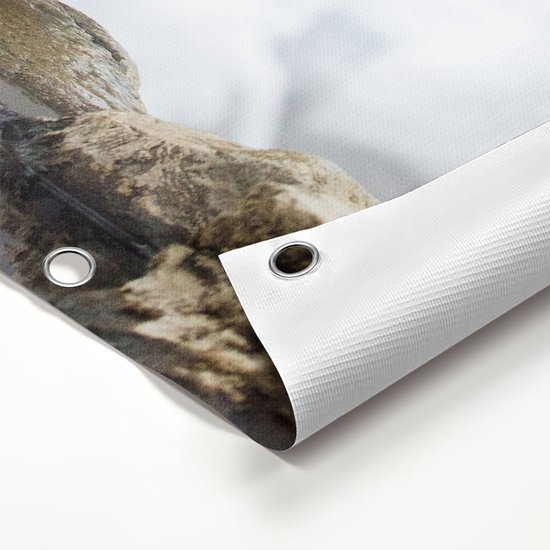 Gards Tuinposter Twee Aapjes in de Sneeuw op Rotsen - 40x60 cm - Tuindoek - Tuindecoratie - Wanddecoratie buiten - Tuinschilderij