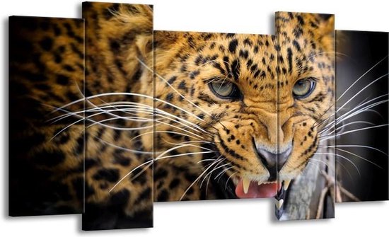 Peinture sur toile Léopard | Marron noir | 120x65 5 Liège
