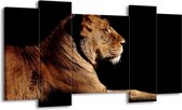 Peinture sur toile Lion | Marron noir | 120x65 5 Liège