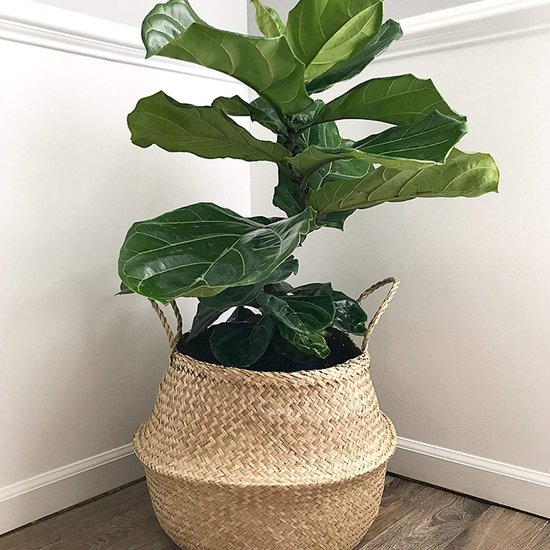 Decorasian Buikmand, gevlochten van zeegras, groot en klein, mand