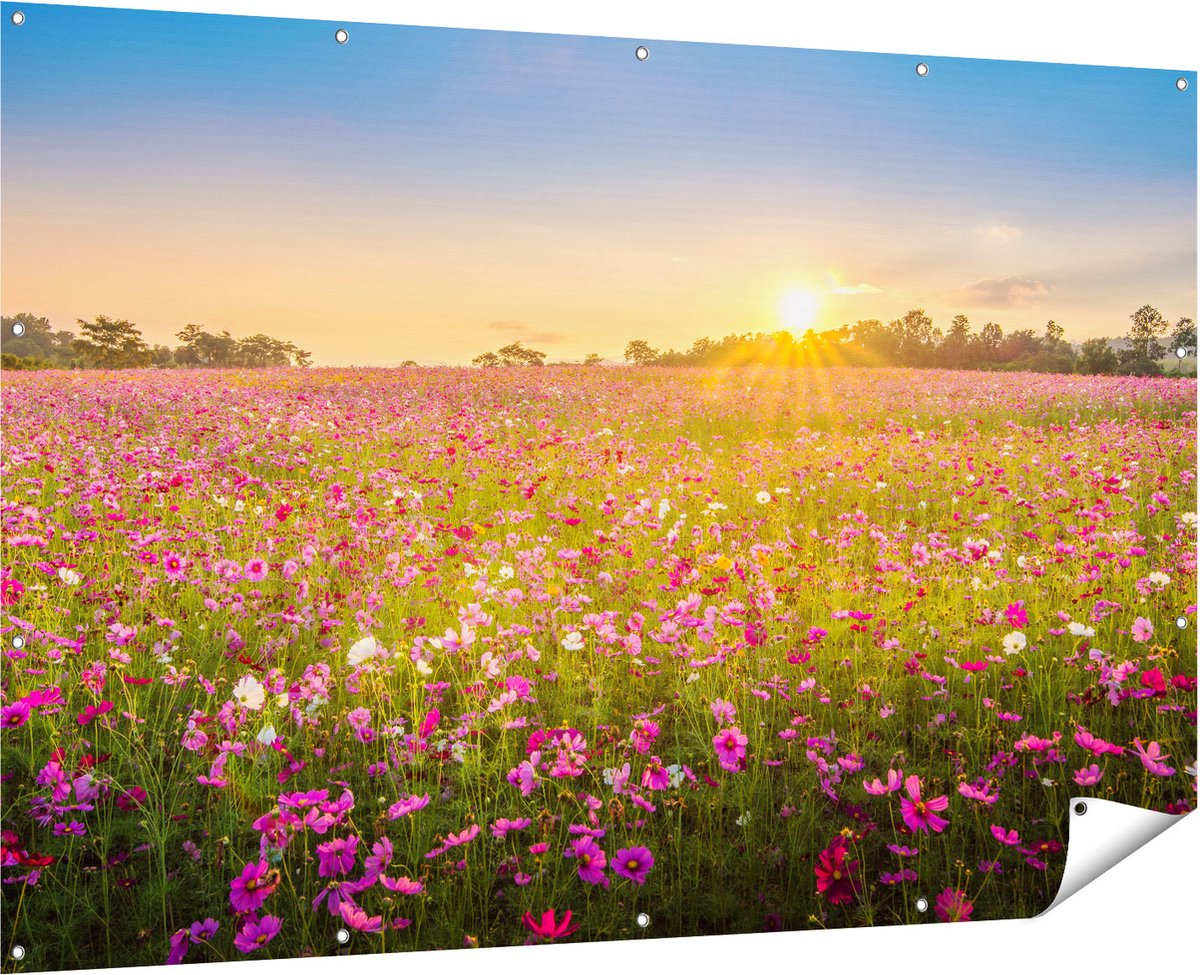 Gards Tuinposter Bloemenveld met Roze Kosmos - 180x120 cm - Tuindoek - Tuindecoratie - Wanddecoratie buiten - Tuinschilderij Multikleur