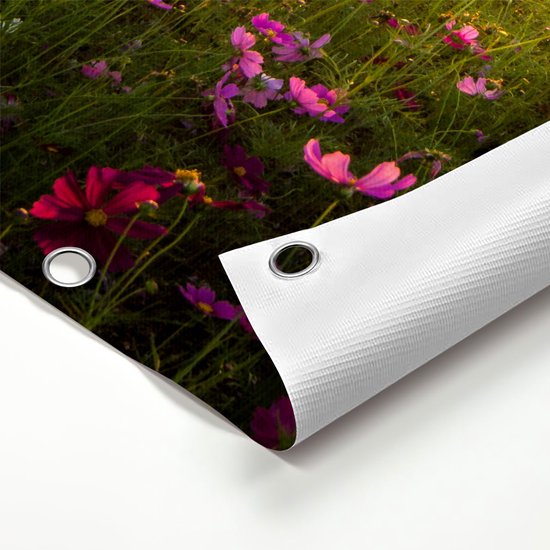 Gards Affiche de jardin Champ de fleurs avec Kosmos rose - 100x150 cm - Toile jardin - Décoration de jardin - Décoration murale extérieur - Tableau jardin