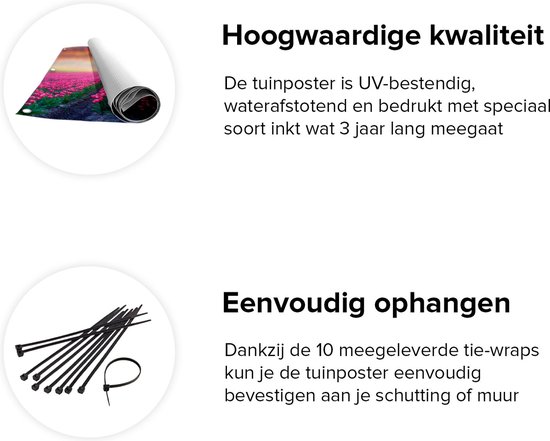 Gards Poster de Jardin Champ de Fleurs avec Tulipes Roses - Montgolfière - 100x100 cm - Toile Jardin - Décoration de jardin - Décoration murale Extérieure - Tableau Jardin