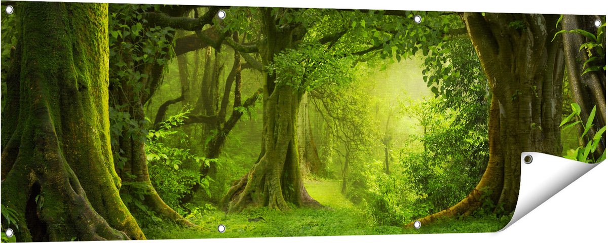 Gards Tuinposter Groene Tropische Jungle Bos - 150x50 cm - Tuindoek - Tuindecoratie - Wanddecoratie buiten - Tuinschilderij Multikleur