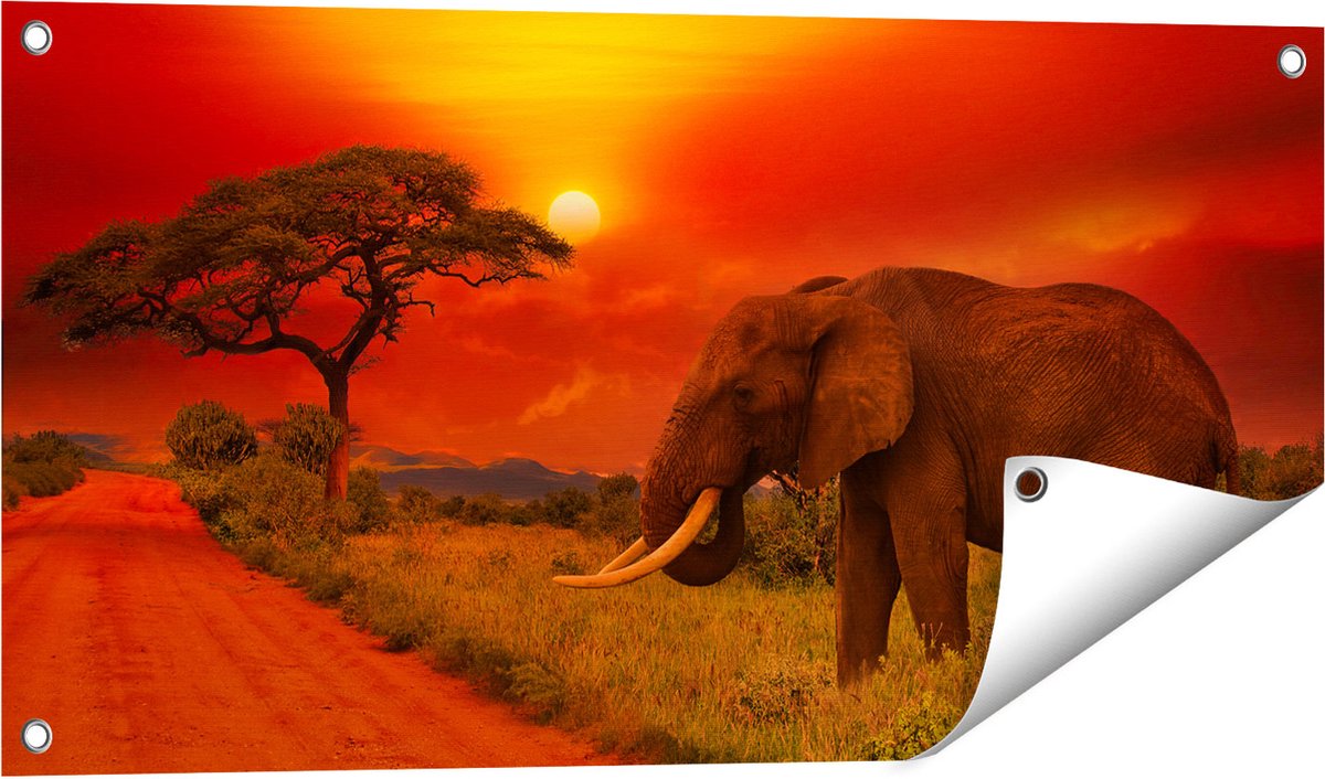 Gards Tuinposter Olifant in het Wild tijdens Zonsondergang - 80x40 cm - Tuindoek - Tuindecoratie - Wanddecoratie buiten - Tuinschilderij Multikleur