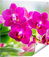 Gards Tuinposter Roze Orchidee Bloemen - 70x70 cm - Tuindoek - Tuindecoratie - Wanddecoratie buiten - Tuinschilderij