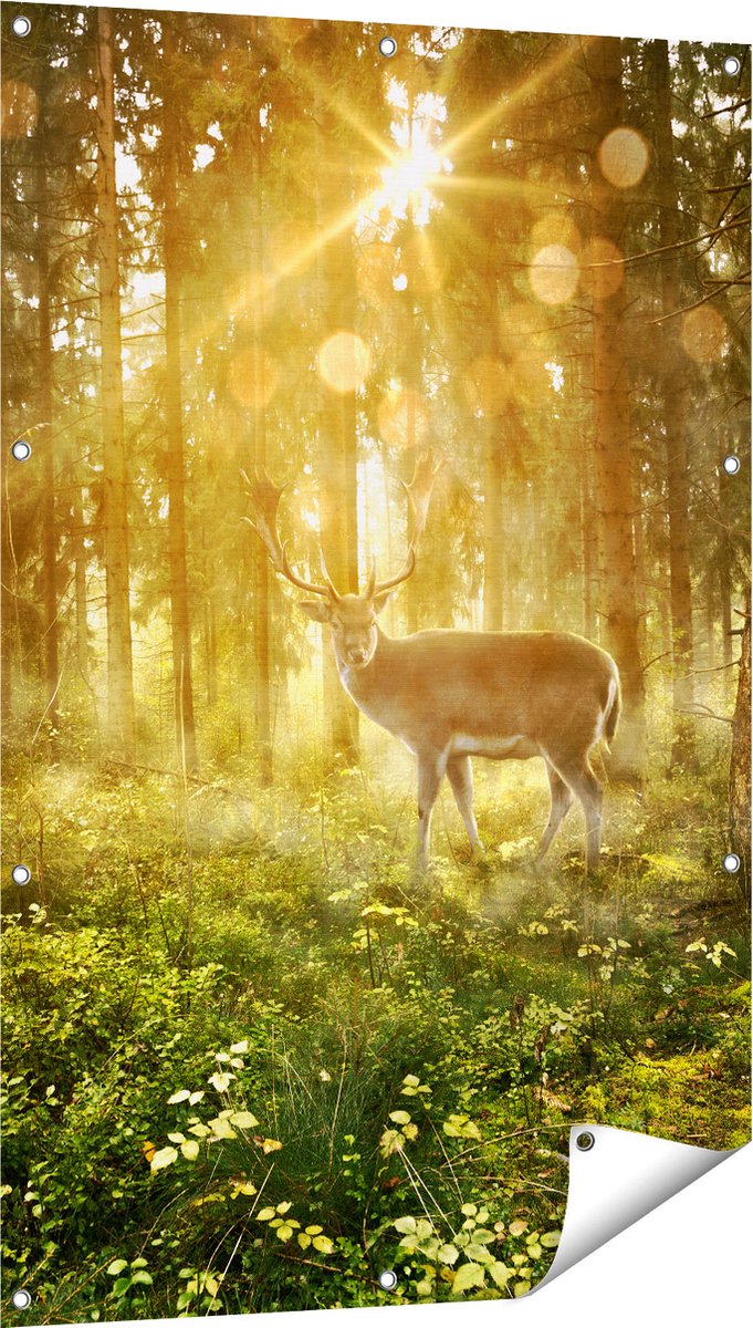Gards Tuinposter Hert in Bos met Zon - 80x120 cm - Tuindoek - Tuindecoratie - Wanddecoratie buiten - Tuinschilderij Multikleur