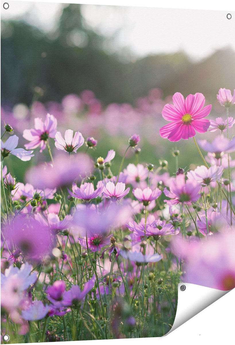 Gards Tuinposter Bloemenveld met Paarse Kosmos - 80x100 cm - Tuindoek - Tuindecoratie - Wanddecoratie buiten - Tuinschilderij Multikleur