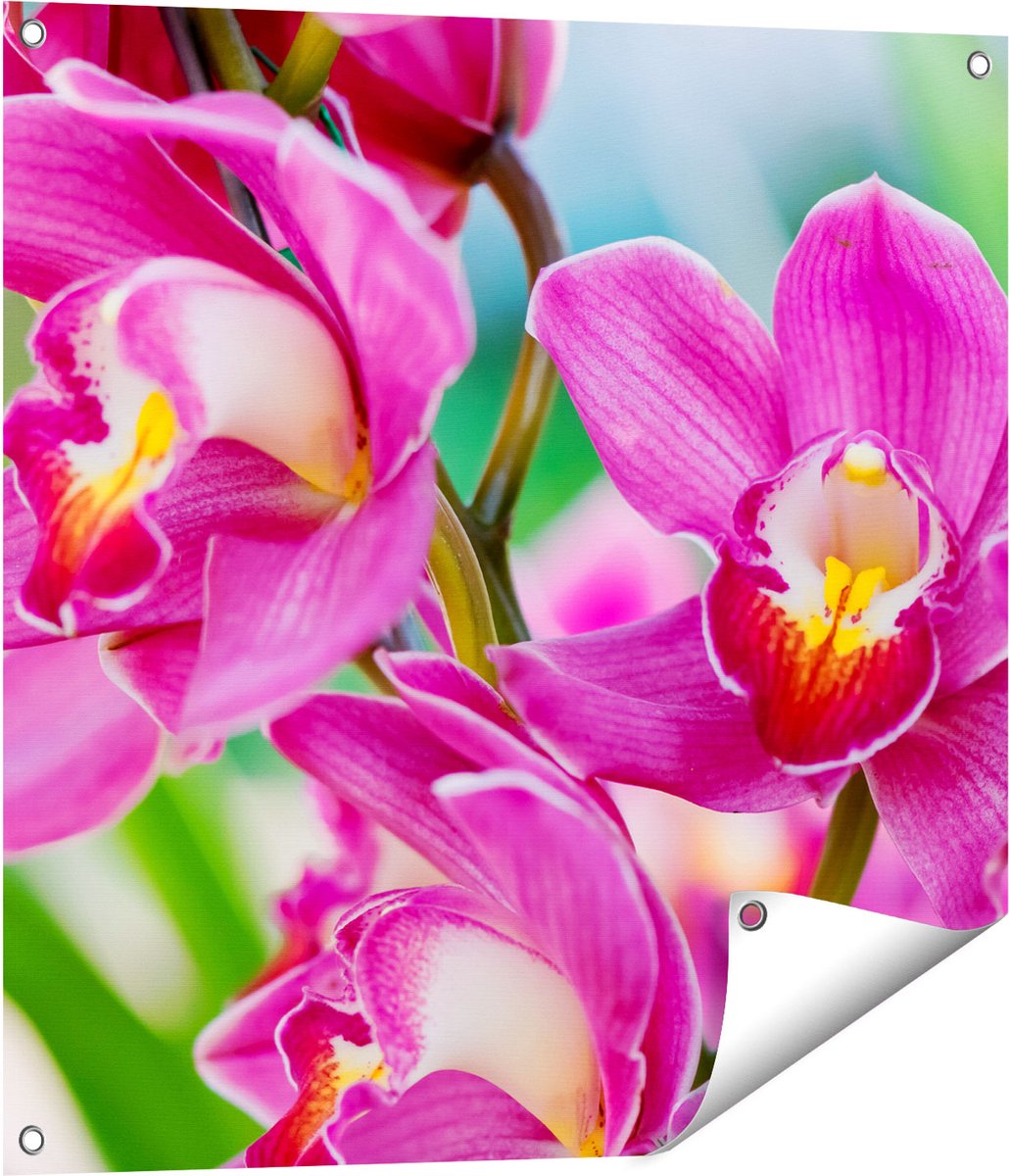 Gards Tuinposter Licht Paarse Orchidee Bloemen - 70x70 cm - Tuindoek - Tuindecoratie - Wanddecoratie buiten - Tuinschilderij Multikleur