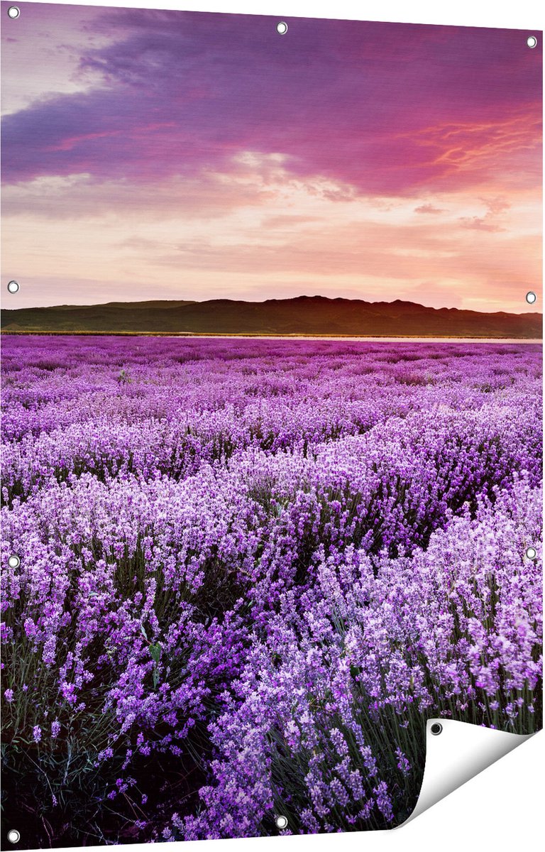 Gards Tuinposter Bloemenveld met Paarse Lavendel - Bloemen - 90x120 cm - Tuindoek - Tuindecoratie - Wanddecoratie buiten - Tuinschilderij Multikleur