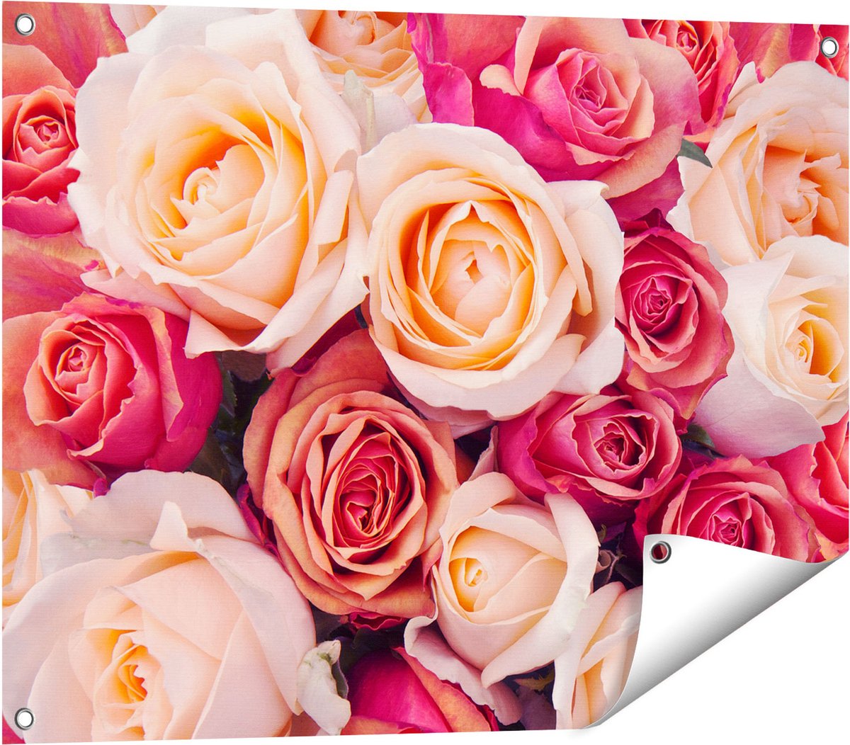 Gards Tuinposter Roze Rozen Achtergrond - Bloemen - 80x60 cm - Tuindoek - Tuindecoratie - Wanddecoratie buiten - Tuinschilderij Multikleur