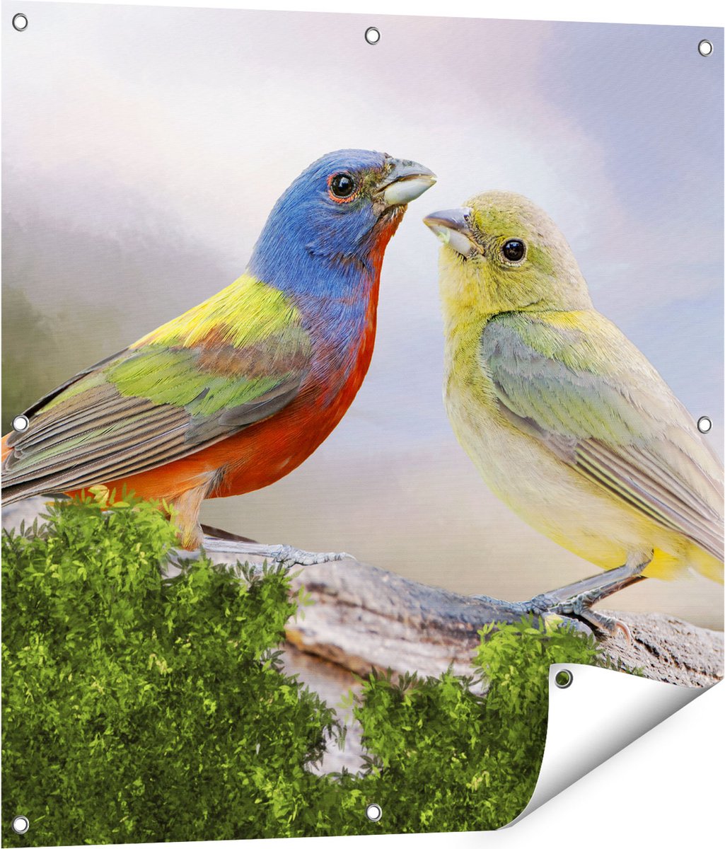 Gards Tuinposter Getekende Gorzen Vogels - Kleur - Abstract - 80x80 cm - Tuindoek - Tuindecoratie - Wanddecoratie buiten - Tuinschilderij Multikleur
