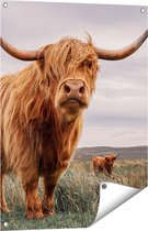 Gards Affiche de jardin Scottish Highlander Cows in the Meadow - 60x80 cm - Toile de jardin - Décoration de jardin - Décoration murale extérieur - Tableau de jardin