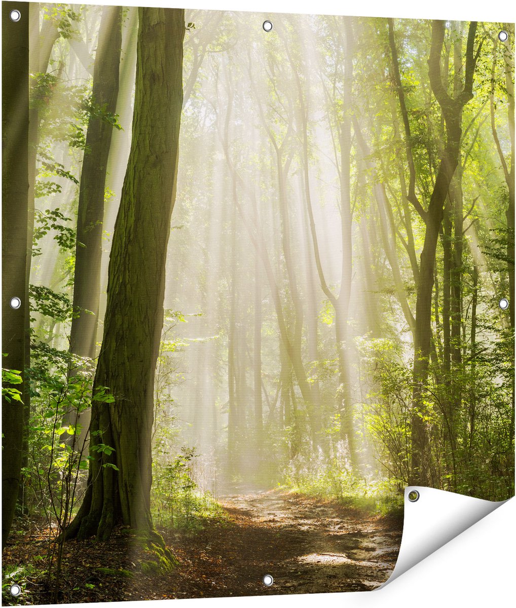 Gards Tuinposter Bos met Bomen en Zonneschijn - 90x90 cm - Tuindoek - Tuindecoratie - Wanddecoratie buiten - Tuinschilderij Multikleur