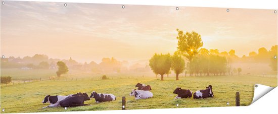 Gards Tuinposter Koeien in de Wei tijdens Zonsopkomst - 60x80 cm