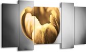 GroepArt - Schilderij - Tulp - Goud, Wit, Grijs - 120x65 5Luik - Foto Op Canvas - GroepArt 6000+ Schilderijen 0p Canvas Art Collectie - Wanddecoratie