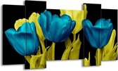 GroepArt - Schilderij - Tulp - Blauw, Geel, Zwart - 120x65 5Luik - Foto Op Canvas - GroepArt 6000+ Schilderijen 0p Canvas Art Collectie - Wanddecoratie