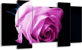 GroepArt - Schilderij - Roos - Roze, Wit, Zwart - 120x65 5Luik - Foto Op Canvas - GroepArt 6000+ Schilderijen 0p Canvas Art Collectie - Wanddecoratie