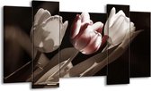 GroepArt - Schilderij - Tulp - Bruin, Grijs, Wit - 120x65 5Luik - Foto Op Canvas - GroepArt 6000+ Schilderijen 0p Canvas Art Collectie - Wanddecoratie