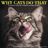 Katten - Why Cats Do That Kalender 2019