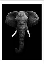 Elephant (21x29,7cm) - Wallified - Tekst - Zwart Wit - Poster - Wall-Art - Woondecoratie - Kunst - Posters