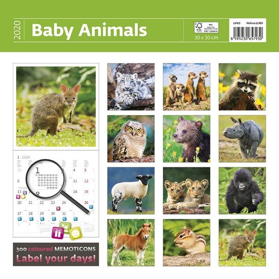 Babydieren - Baby Animals Kalender 2020 - Helma