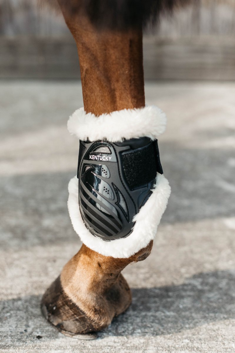 Kentucky Vegan Sheepskin Young Horse Fetlock Boots - Black - Maat L