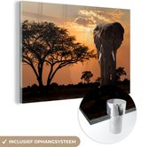 MuchoWow® Glasschilderij 60x40 cm - Schilderij acrylglas - Olifant - Boom - Afrika - Foto op glas - Schilderijen