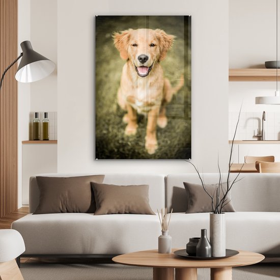 Un portrait d'un chiot Golden Retriever dans le jardin Plexiglas 60x90 cm - Tirage photo sur Glas (décoration murale en plexiglas)