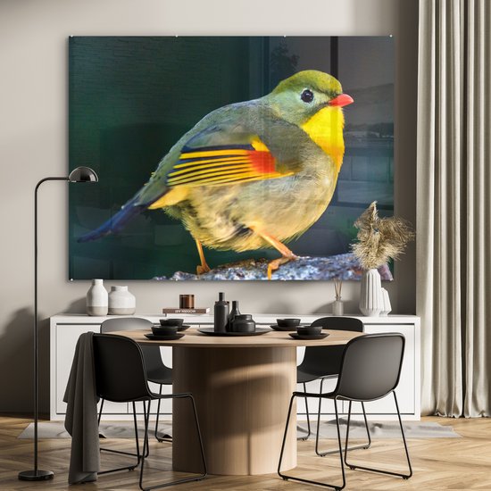 Gros plan d'un rossignol japonais en plexiglas 160x120 cm - Tirage photo sur Glas (décoration murale en plexiglas) XXL / Groot format!