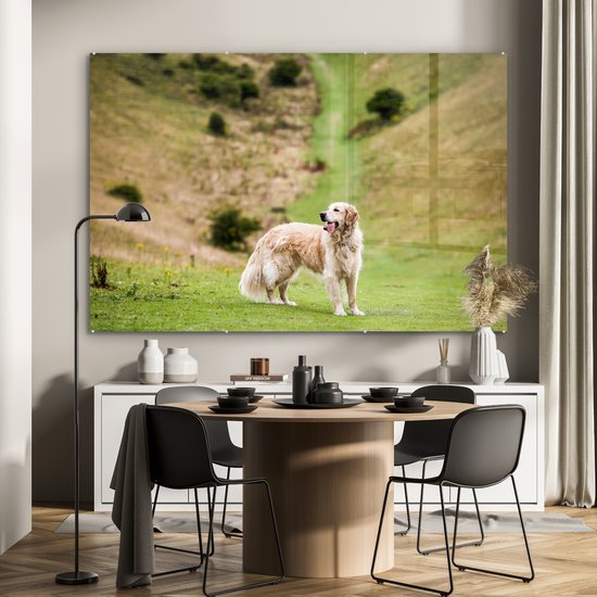 MuchoWow® Glasschilderij 180x120 cm - Schilderij acrylglas - Prachtige afbeelding van een Golden Retriever - Foto op glas - Schilderijen