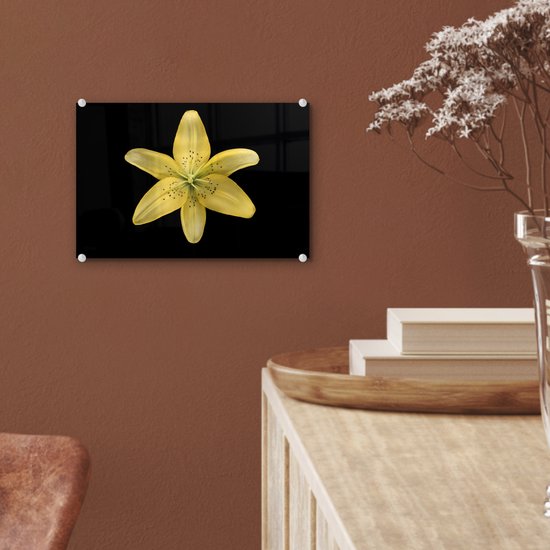 Peinture sur Verre - Lys - Bloem - Jaune - 30x20 cm - Peintures sur Verre Peintures - Photo sur Glas