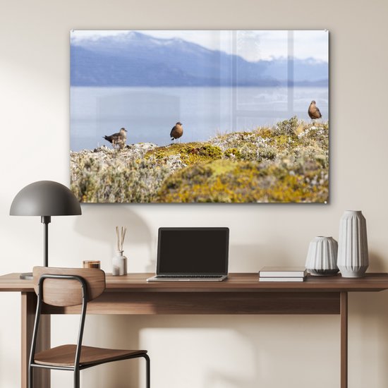 Vogels dans le parc national de la Terre de Feu avec des montagnes enneigées en arrière-plan Plexiglas 120x80 cm - Tirage photo sur Glas (décoration murale en plexiglas)