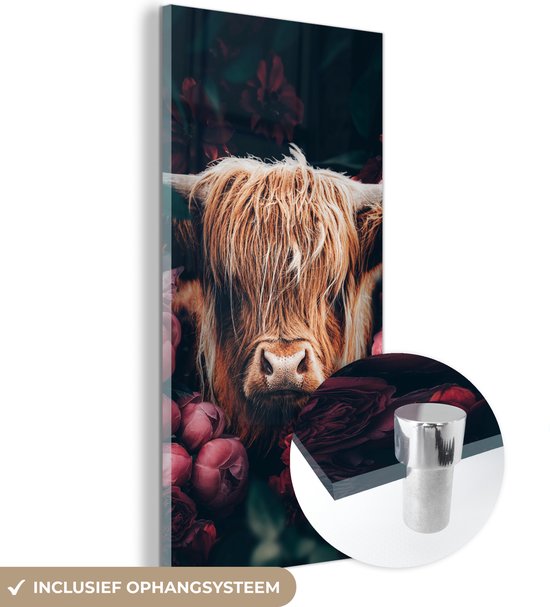 Schotse hooglander schilderij - Bekijk hier de hele Schotse hooglander collectie