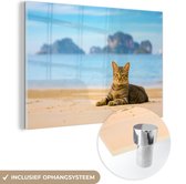 MuchoWow® Glasschilderij 90x60 cm - Schilderij acrylglas - Kat op het strand - Foto op glas - Schilderijen