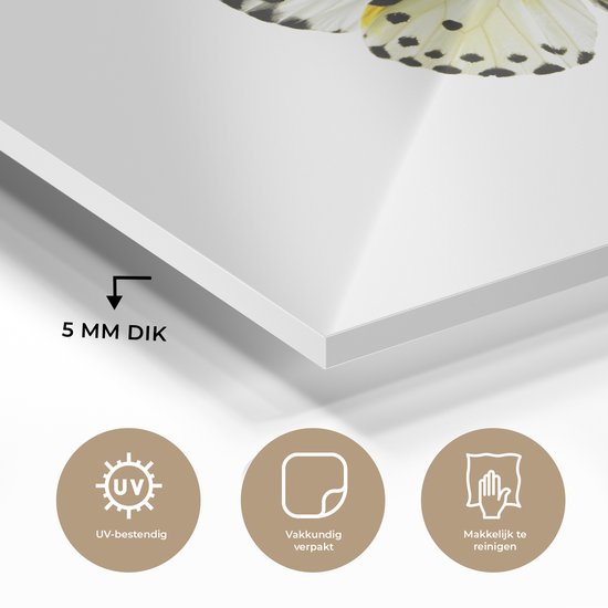 MuchoWow® Peinture sur Verre - Reseda Blanc - 160x120 cm - Peintures sur Verre Acrylique - Photo sur Glas