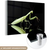 MuchoWow® Glasschilderij 60x40 cm - Schilderij acrylglas - Bidsprinkhaan op zwarte achtergrond - Foto op glas - Schilderijen